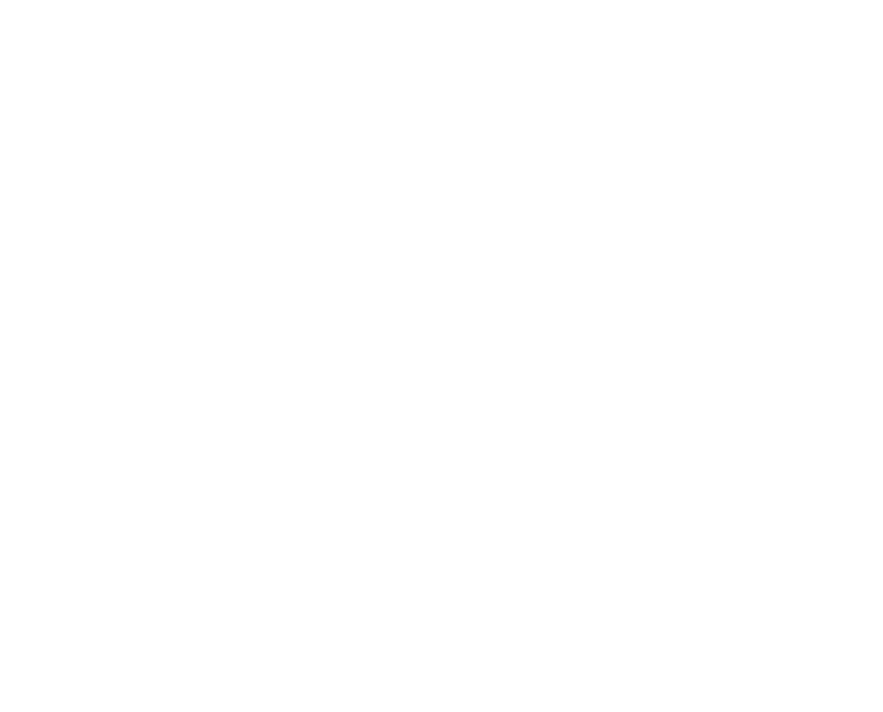 Brú Brewery logo